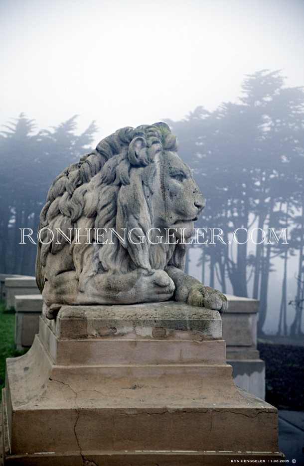 Stone lion at the Legion of Honor